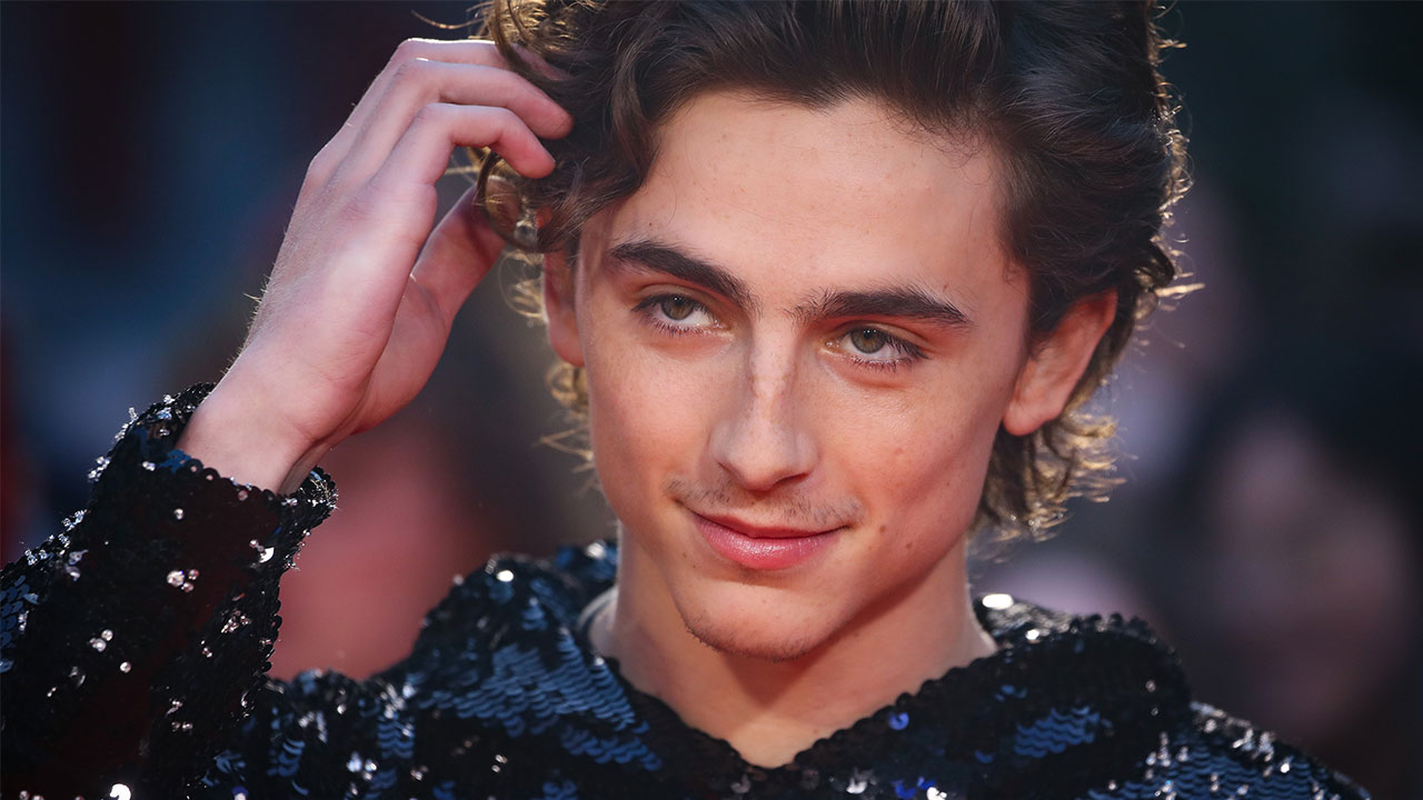 timothee-chalamet-hair - ICON