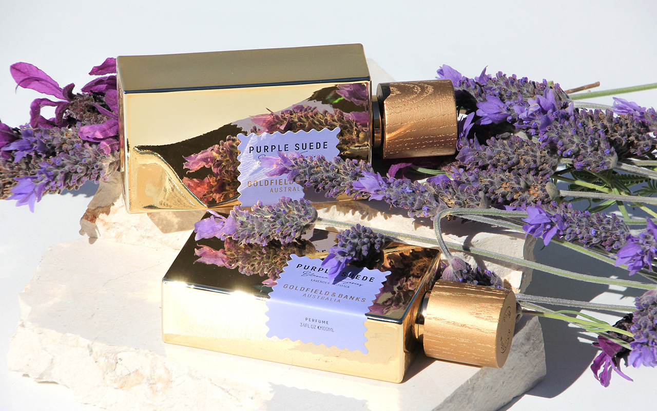 Goldfield & Banks Purple Suede